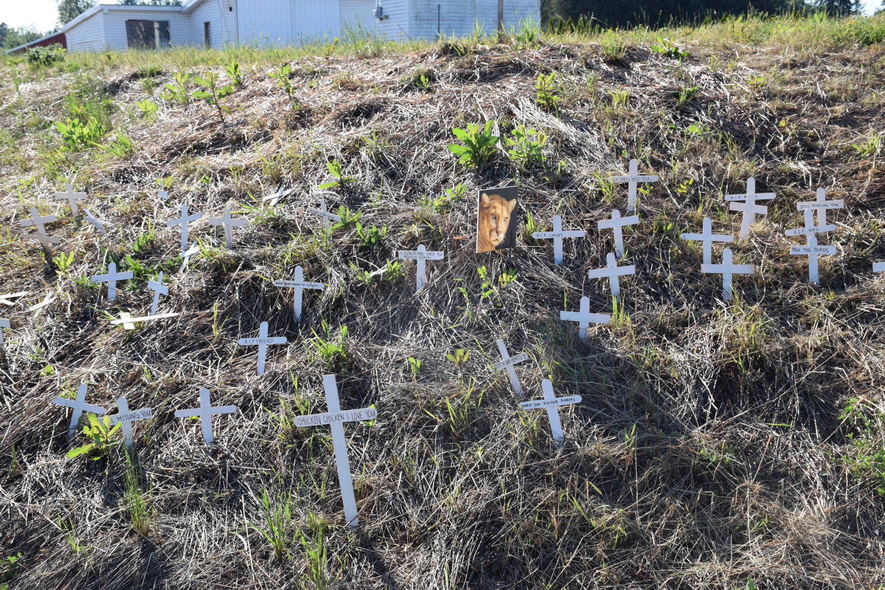 Memorial